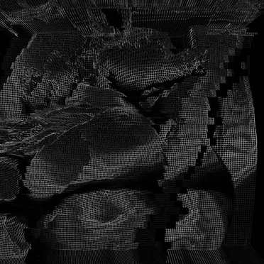 Agonist