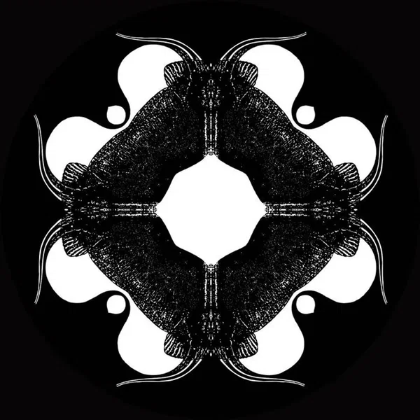 New State of Consciousness