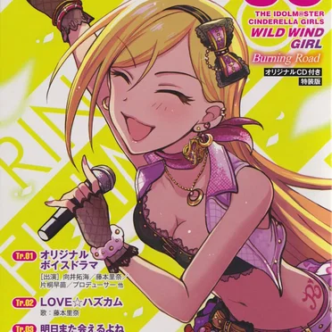 THE IDOLM@STER CINDERELLA GIRLS WILD WIND GIRL 6 オリジナル CD