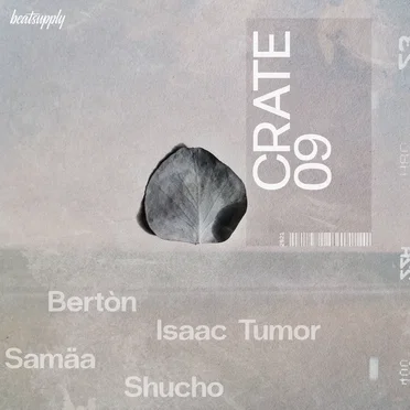 Beatsupply: Crate09 by Various Artists - album cover
