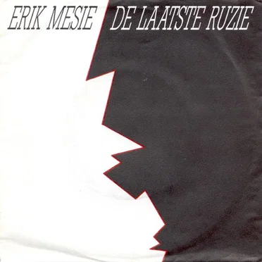 De laatste ruzie