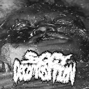 Demo #1