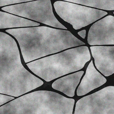 Mono [I]
