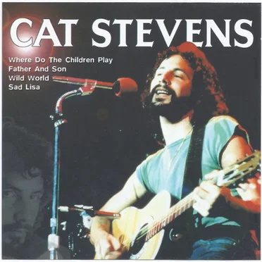 The Best of Cat Stevens