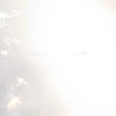 煩わせる朝