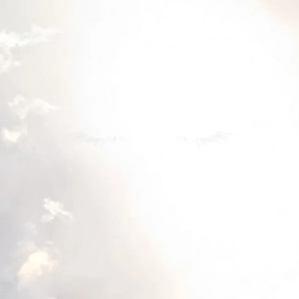 煩わせる朝