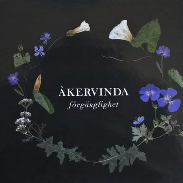 Förgänglighet