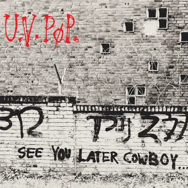 See You Later Cowboy