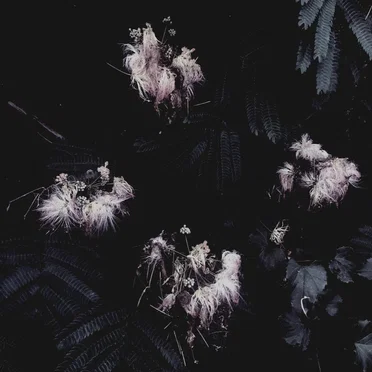 Silcasoid Beats Vol. I
