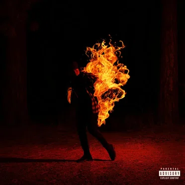 LIFES CRAZY by IAMTOPP - album cover