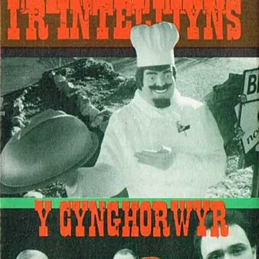 Insylt i’r Intelijyns by Y Cynghorwyr - album cover