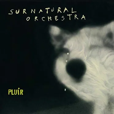 Pluir by Surnatural Orchestra - album cover