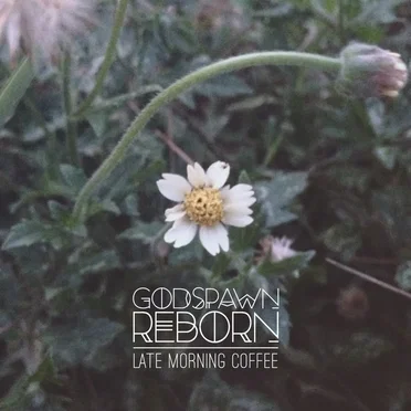Late Morning Coffee