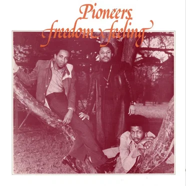 Freedom Feeling by The Pioneers - album cover