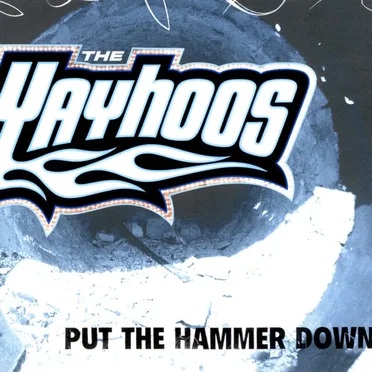 Put the Hammer Down by The Yayhoos - album cover