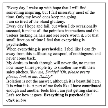 The Beautiful Malaise by Everything Is Psychedelic - album cover