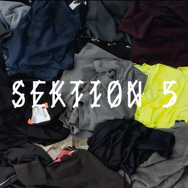 SEKTION 5 by Various Artists - album cover