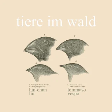 Tiere Im Wald