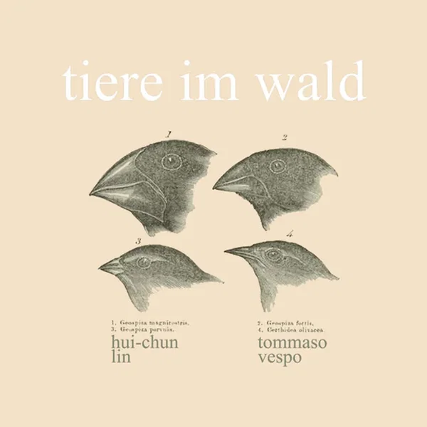 Tiere Im Wald