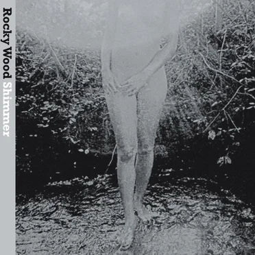 Shimmer by Rocky Wood - album cover