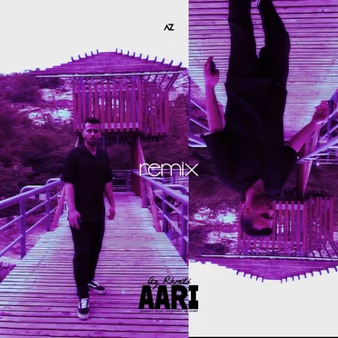 Aari (remix)