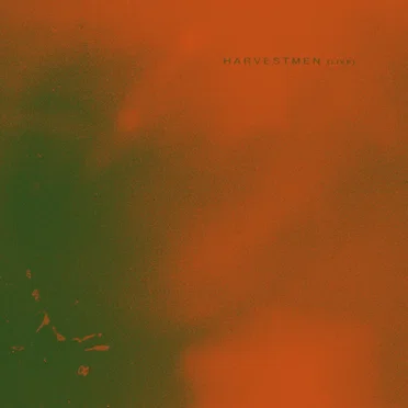 Harvestmen (live) by Bees Made Honey in the Vein Tree - album cover