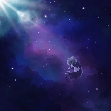 Celestial Auras