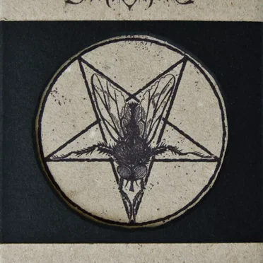 Music of the Flies