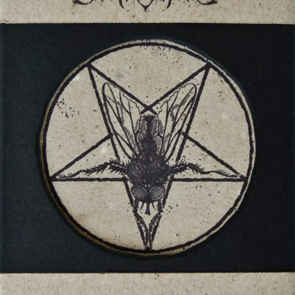 Music of the Flies