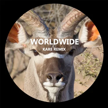 Worldwide [Kare remix] by Kare - album cover