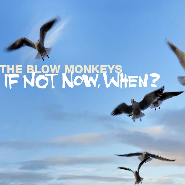 If Not Now, When?