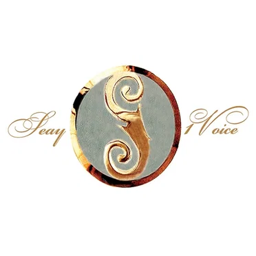 1 Voice by Seay - album cover