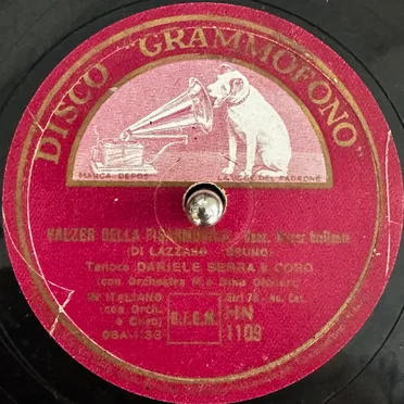 Valzer della fisarmonica / Paesanella