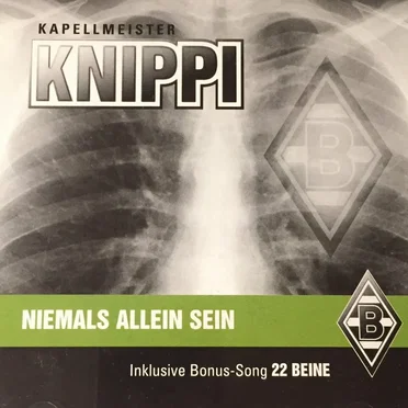 Niemals allein sein by Knippi - album cover