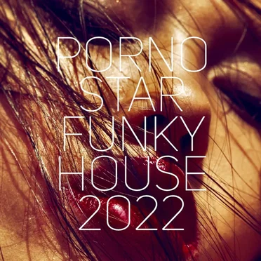 Pornostar Funky House 2022 by Various Artists - album cover