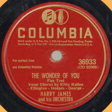 The Wonder of You / I'm in Love With Two Sweethearts