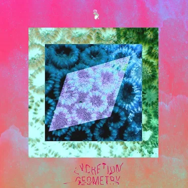 Household by Excretion Geometry - album cover