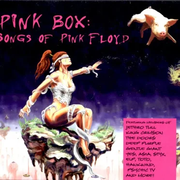 Pink Box: Songs of Pink Floyd by Various Artists - album cover