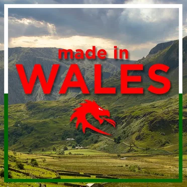 Made in Wales by Various Artists - album cover