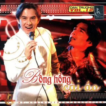 Bông hồng cài áo