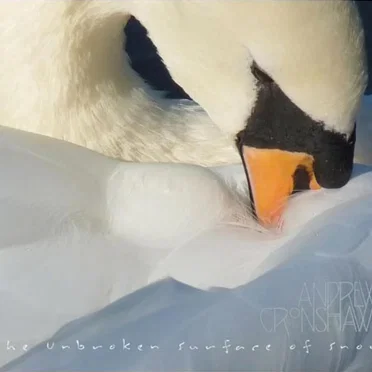 The Unbroken Surface of Snow