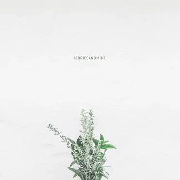 Berries and Mint
