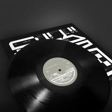 Dual Vision by Confusion - album cover