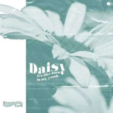 daisy.
