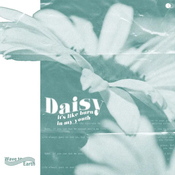 daisy.