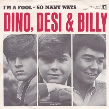 I'm A Fool / So Many Ways