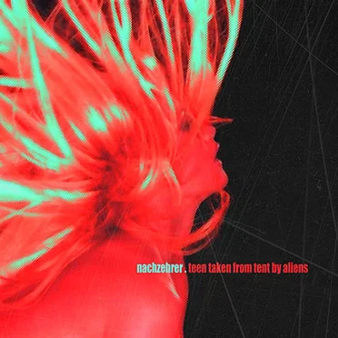 Teen Taken From Tent by Aliens by Nachzehrer - album cover