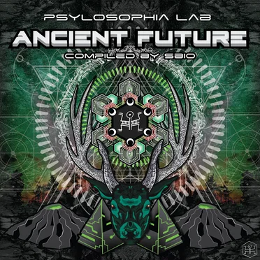 Ancient Future by Various Artists - album cover