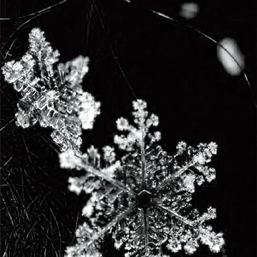En Invierno