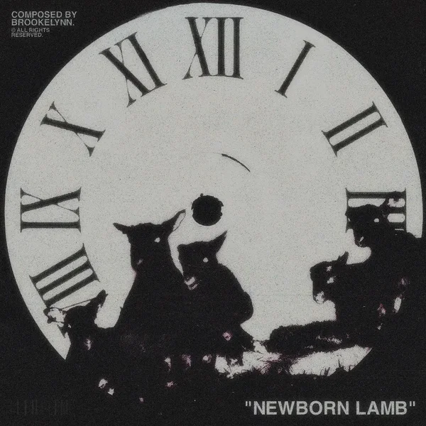 Newborn Lamb